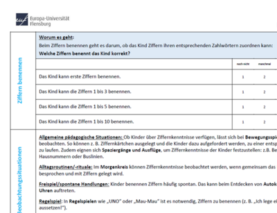 Screenshot aus Beobachtungsbogen Frühe Mathematik ILEA-Basis-T