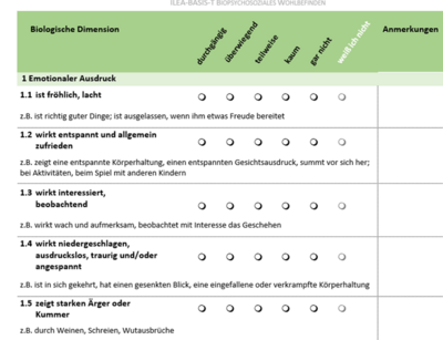 Screenshot aus Beobachtungsbogen Wohlbefinden ILEA-Basis-T